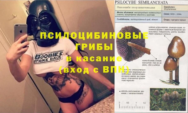 мдма Протвино