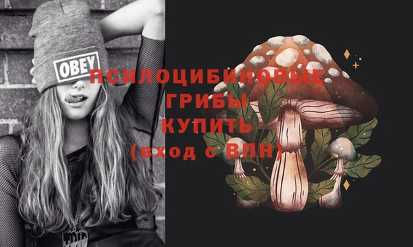 эйфоретик Приозерск