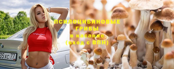 мдма Протвино