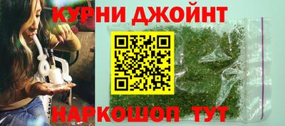 гидра Гай