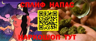 гидра Гай