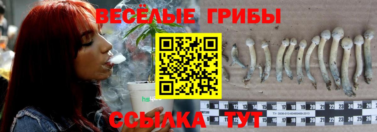 Галлюциногенные грибы GOLDEN TEACHER  как найти закладки  Галлюциногенные грибы MAGIC MUSHROOMS  Сердобск 