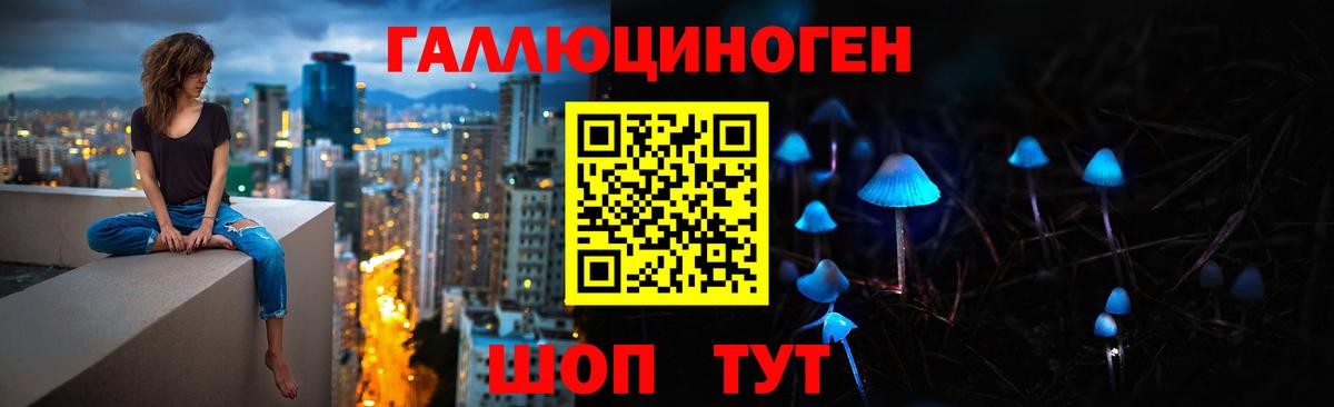 Сердобск  Галлюциногенные грибы Cubensis  Вход с VPN 